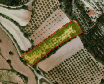 Field Armou Armou  Paphos