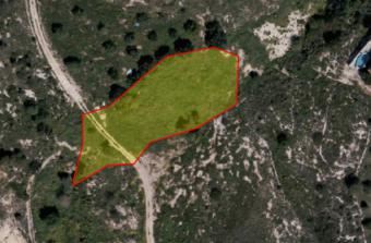 Field Konia Konia  Paphos