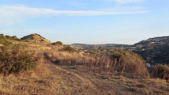 Field Akrounta Akrounta  Limassol