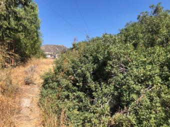 Field Agia Paraskevi Agia Paraskevi  Limassol