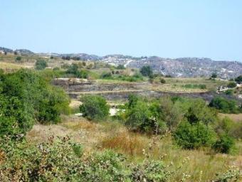 Field Stroumbi Stroumbi  Paphos