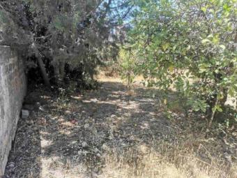 Field Laneia Laneia  Limassol