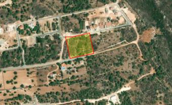Field Souni Souni  Limassol