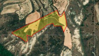Field Simou Simou  Paphos