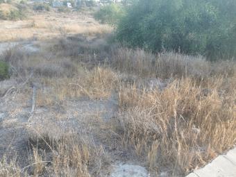 Field Pyrgos Lemesou Pyrgos Lemesou  Limassol