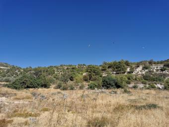 Field Apsiou Apsiou  Limassol