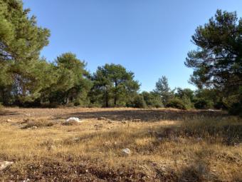 Building Plot Souni Souni  Limassol