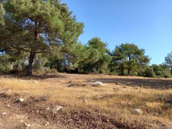Building Plot Souni Souni  Limassol