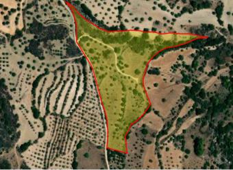 Field Meladeia Meladeia  Paphos