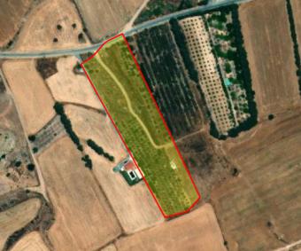 Field Kouklia Kouklia  Paphos