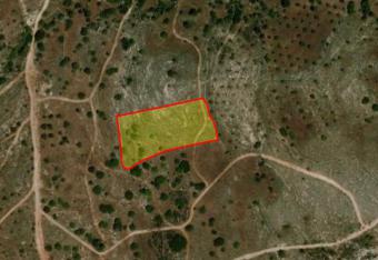 Field Anavargos Anavargos  Paphos
