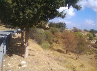 Field Vasa Kilaniou Vasa Kilaniou  Limassol