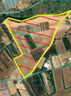 Field Kouklia Kouklia  Paphos