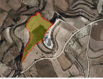 Field Stroumbi Stroumbi  Paphos