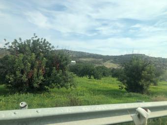 Field Paramytha Paramytha  Limassol