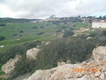 Field Parekklisia Parekklisia  Limassol