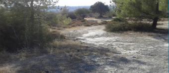 Field Souni Souni  Limassol