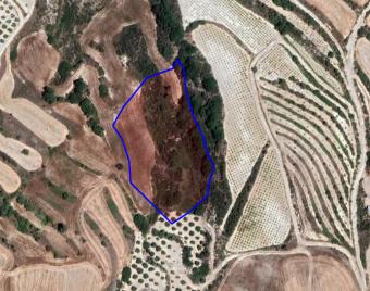 Field Stroumbi Stroumbi  Paphos