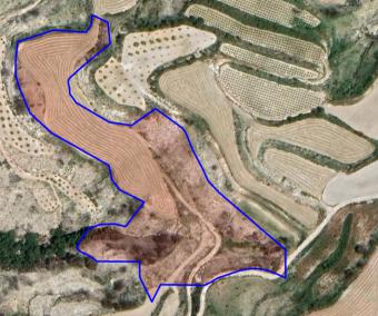 Field Stroumbi Stroumbi  Paphos