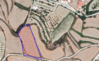 Field Stroumbi Stroumbi  Paphos