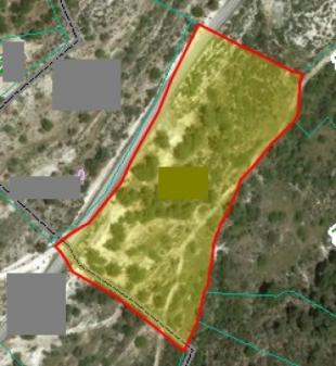 Field Mousere Mousere  Paphos