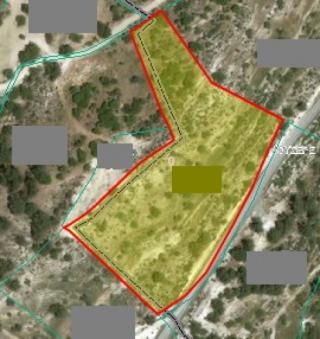 Field Mousere Mousere  Paphos