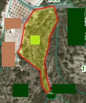 Field Agios Therapon Agios Therapon  Limassol