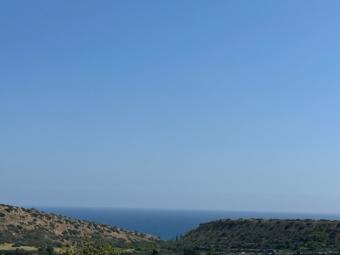 Field Agios Tychonas Agios Tychonas  Limassol