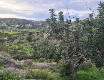 Field Erimi Erimi  Limassol