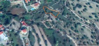 Field Prastio (avdimou) Prastio (avdimou)  Limassol