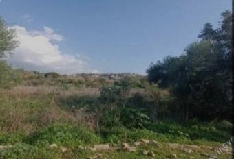 Field Statos Statos  Paphos