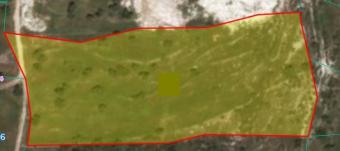 Field Pachna Pachna  Limassol
