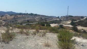 Field Pachna Pachna  Limassol