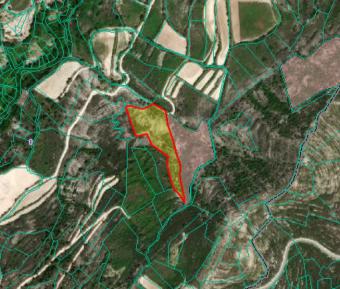 Field Koilani Koilani  Limassol