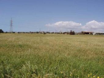 Field Ypsonas Ypsonas  Limassol