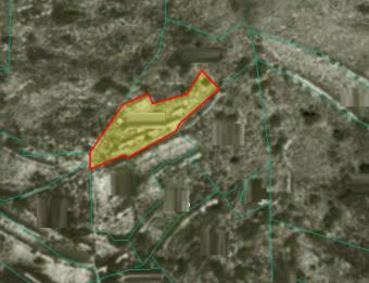 Field Mandria Mandria  Limassol