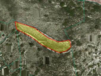 Field Mandria Mandria  Limassol