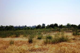 Building Plot Trachoni Trachoni  Limassol