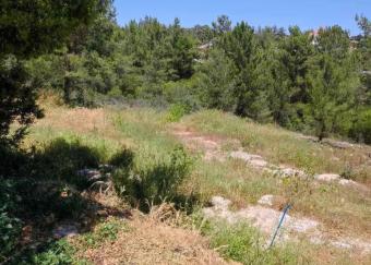Field Souni Souni  Limassol
