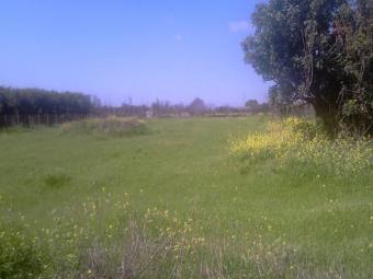 Field Ypsonas Ypsonas  Limassol