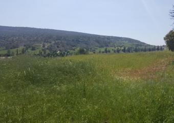 Field Monagroulli Monagroulli  Limassol