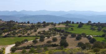 Building Plot Empa Empa  Paphos