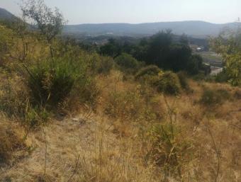 Field Agios Ambrosios Agios Ambrosios  Limassol