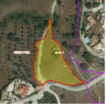 Field Armou Armou  Paphos