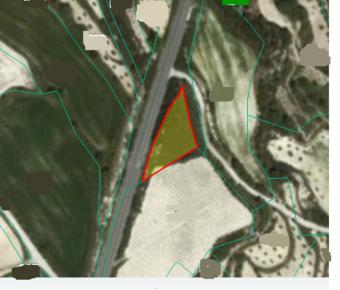 Field Kallepia Kallepia  Paphos