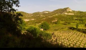 Field Mandria Mandria  Limassol