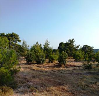 Field Souni Souni  Limassol