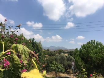 Field Finikaria Finikaria  Limassol