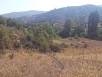 Field Armenokhori Armenokhori  Limassol