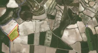 Field Polemi Polemi  Paphos